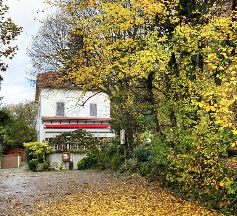 Le restaurant - Le Mas - Froges - restaurant FROGES